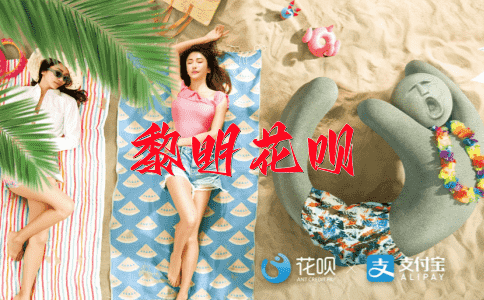 经验丰富花呗